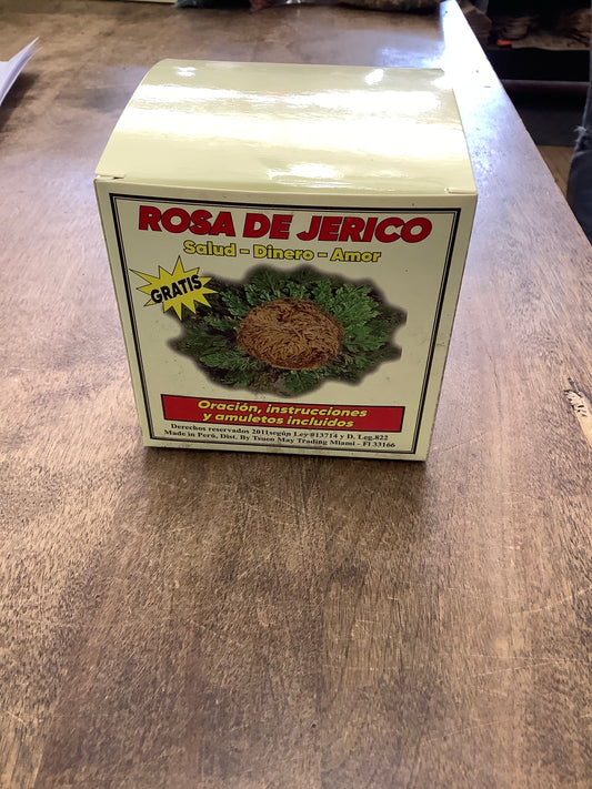 Rose of Jericho w/ amulet gift