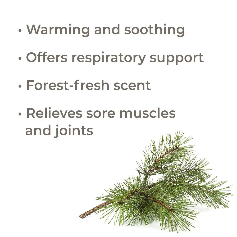 Scots Pine Essential Oil 10 mL