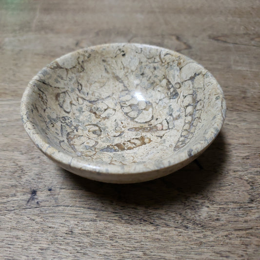 Fossil Coral Bowl 4"