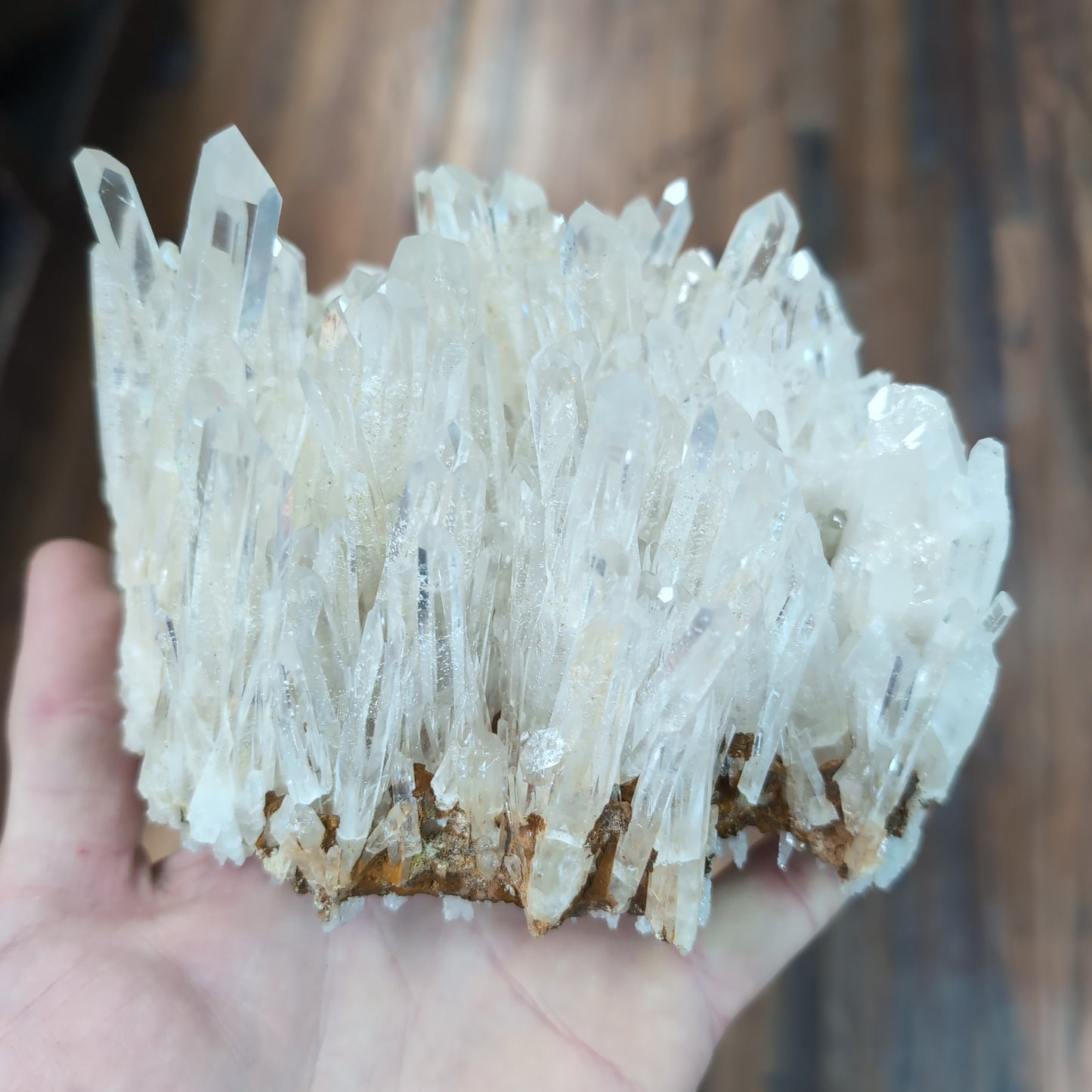 Columbian Clear Quartz Cluster