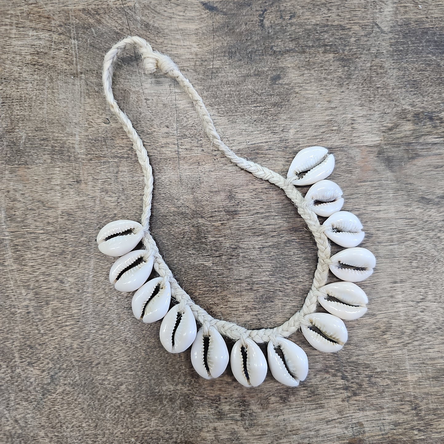 Cowrie Shell Jewelry