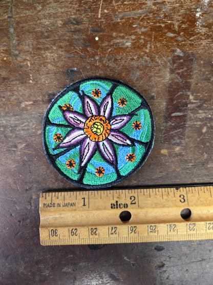 Peyote in Bloom Patch