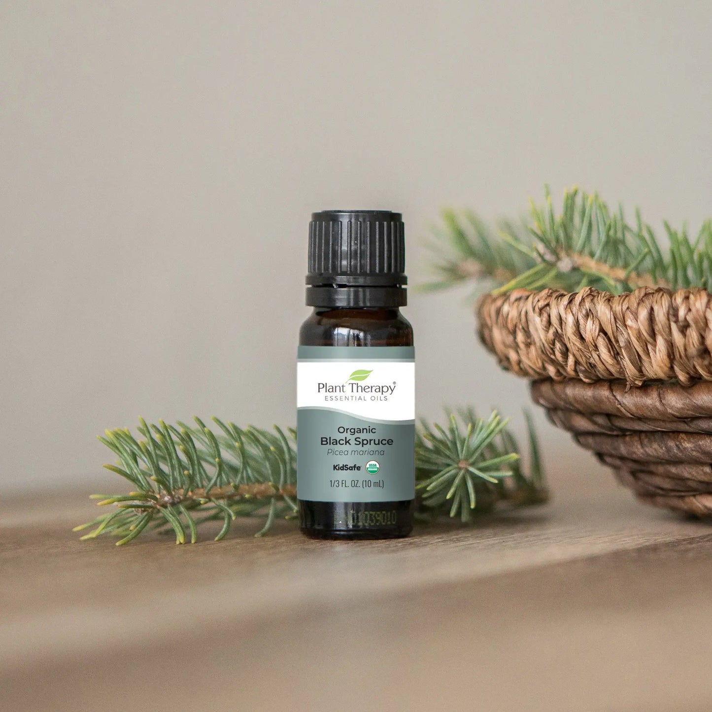 Organic Black Spruce Essential Oil 10 mL