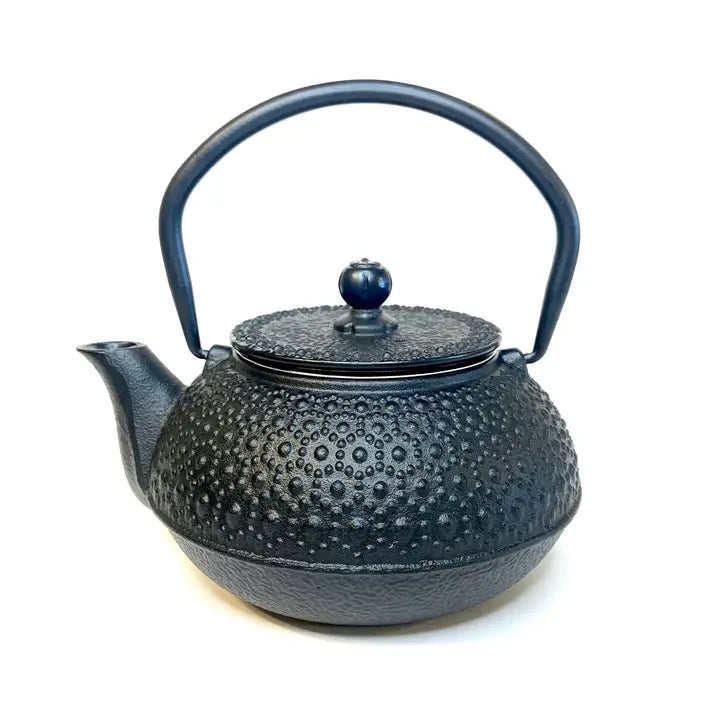 Cast Iron Tea Pot