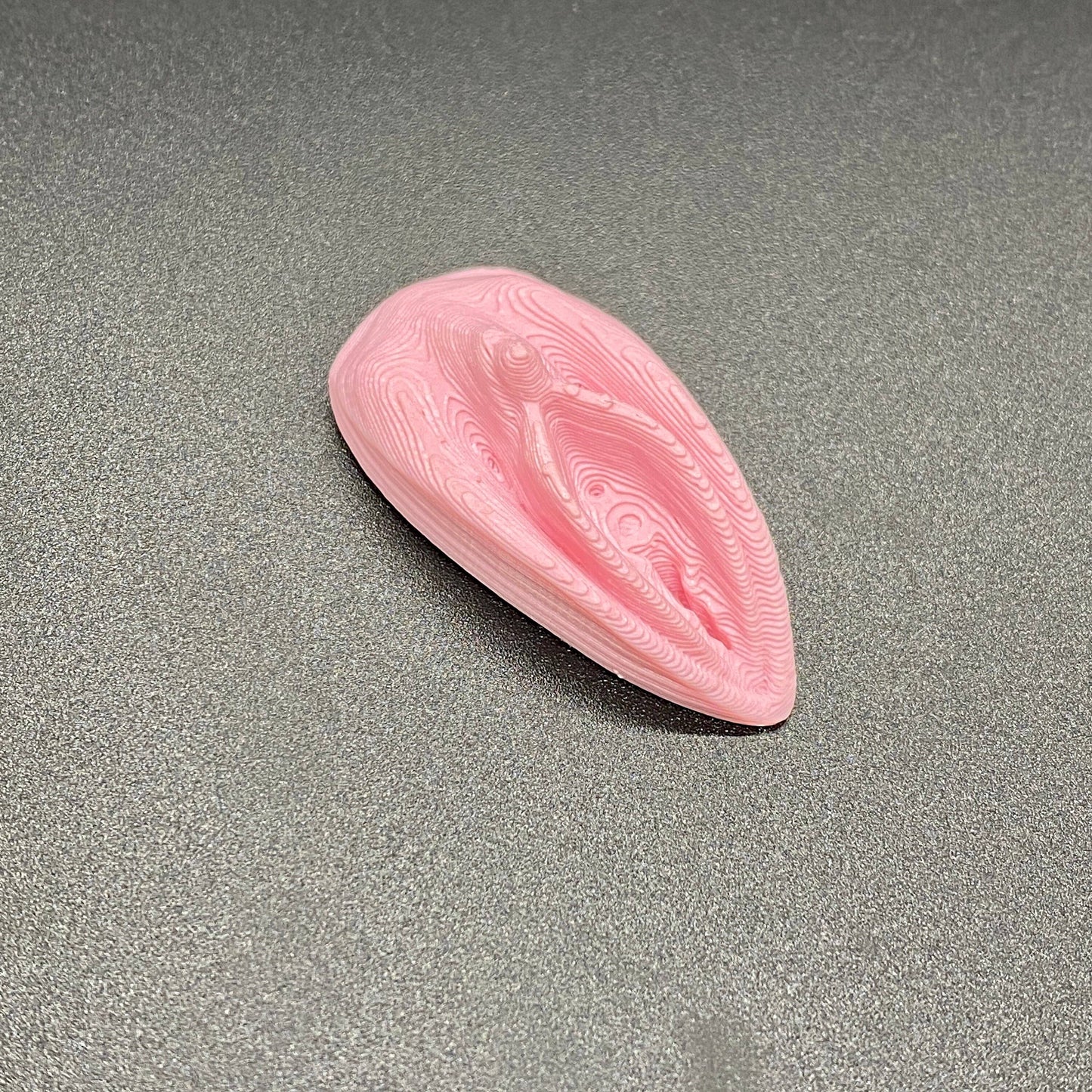 Pussy Magnet! Vulva Stick On Magnetic Vulva! Prank/Gag Gift