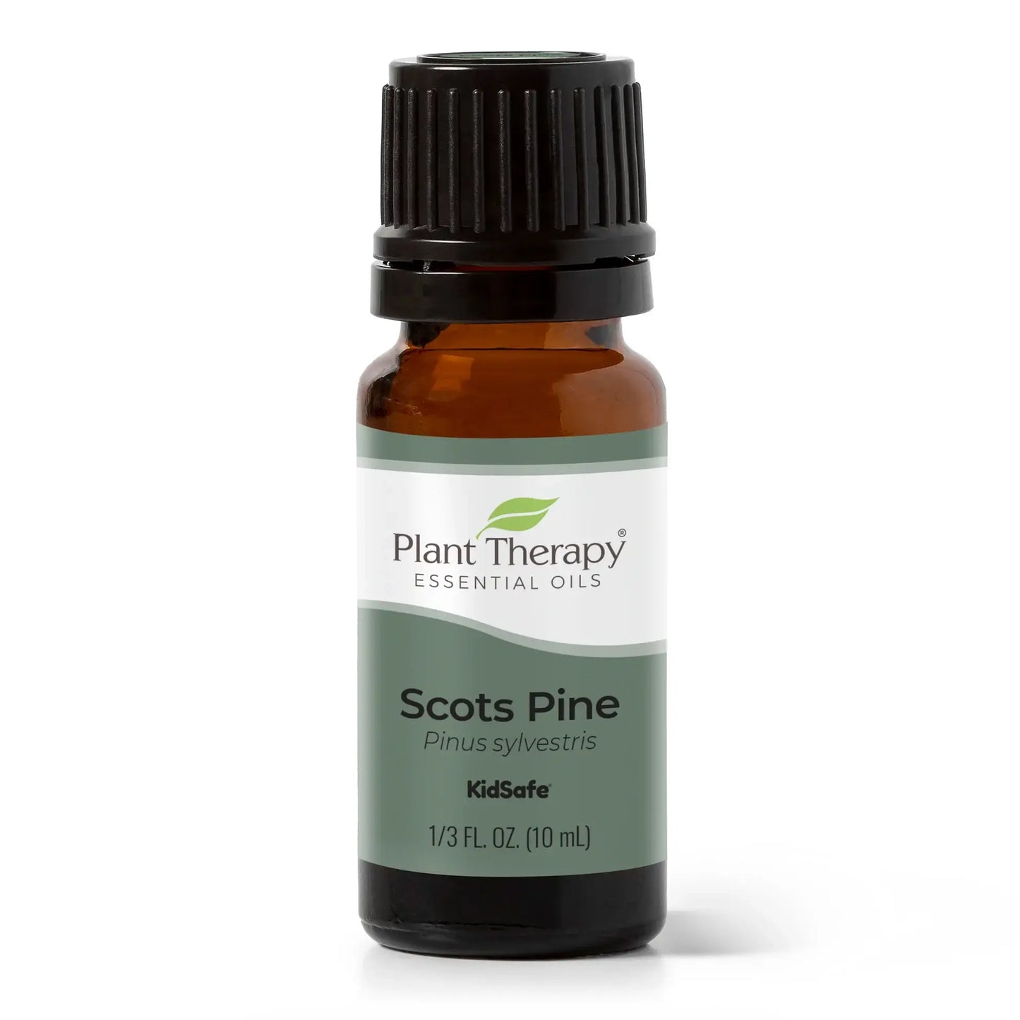 Scots Pine Essential Oil 10 mL