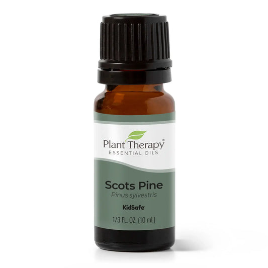 Scots Pine Essential Oil 10 mL