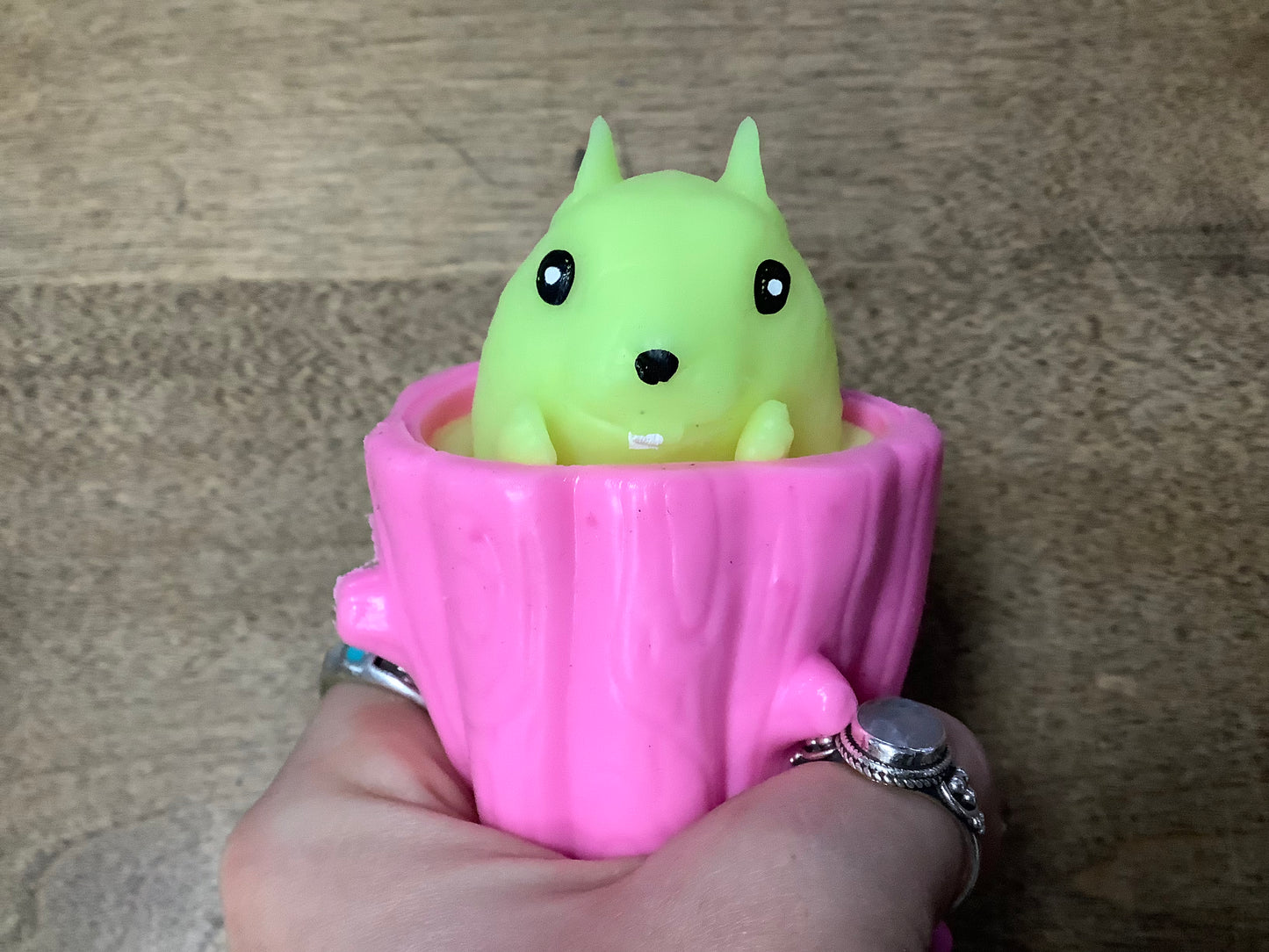 Evil Squirrel Pop-up Toy