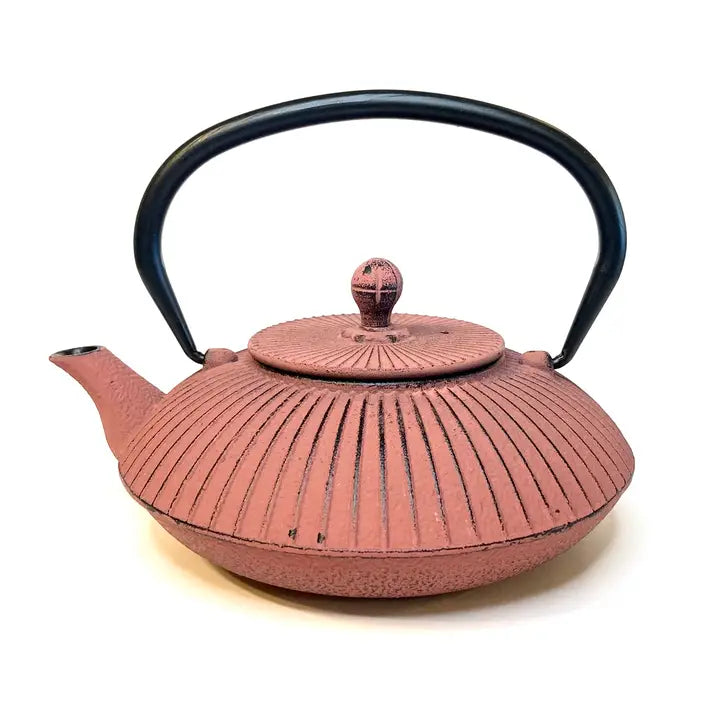 Cast Iron Tea Pot