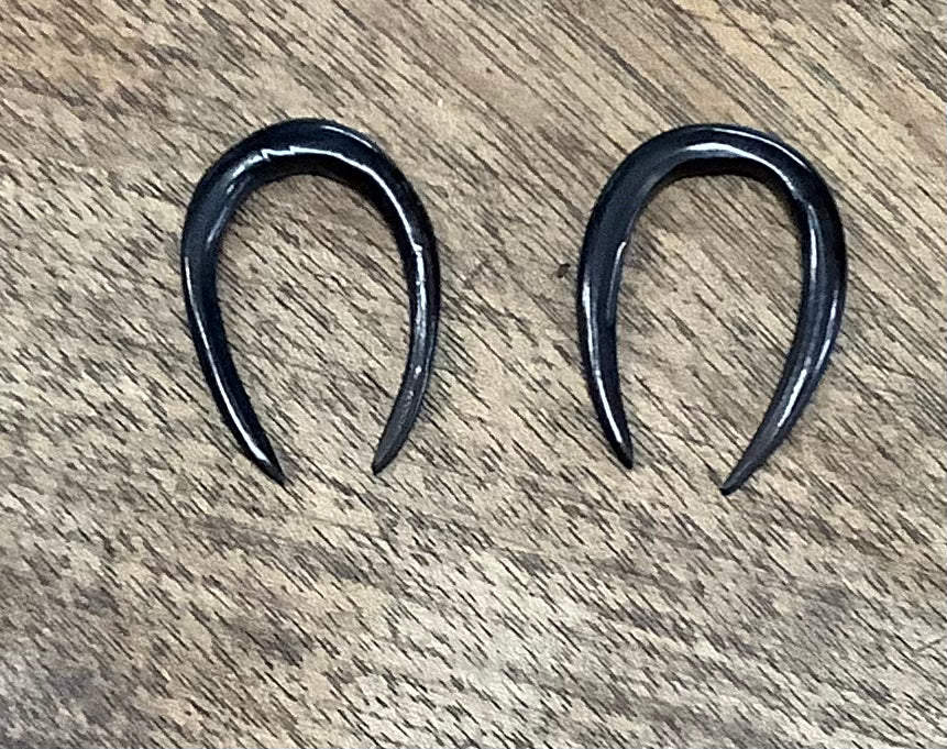 Horn Earrings (style varies)