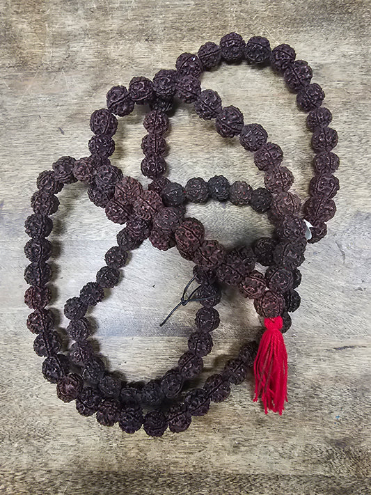 Rudraksha Mala Extra Large Pod 108 Bead Rosary