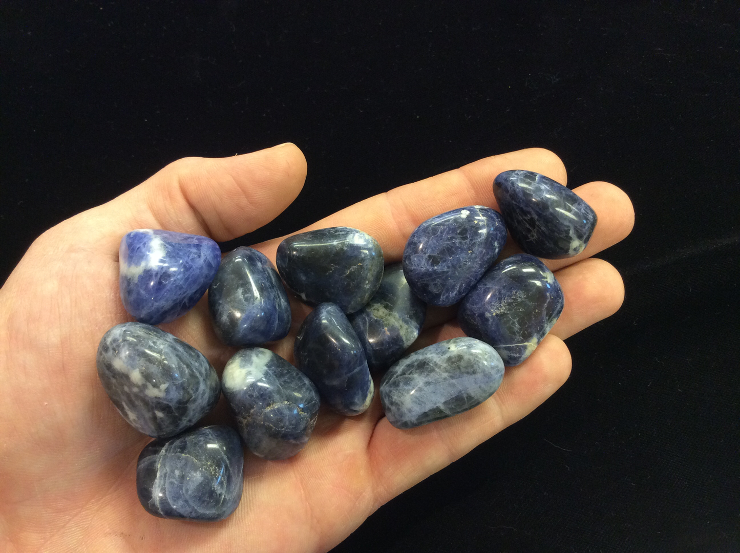 Sodalite Tumbled