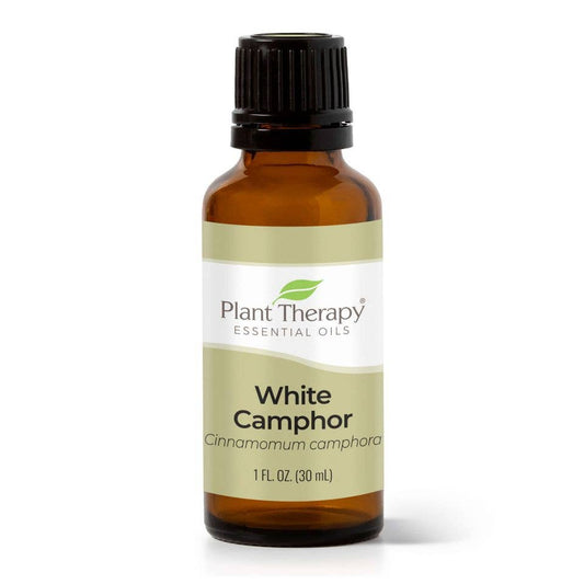 Camphor White Essential Oil 30 mL