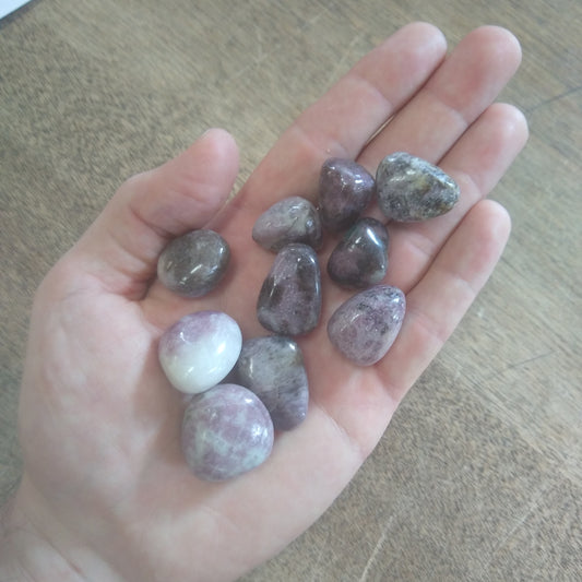 Lepidolite Tumbled