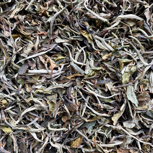 Yunnan White Tea Organic