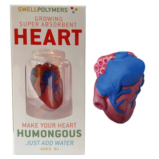 Extra Large Swell Polymer Heart