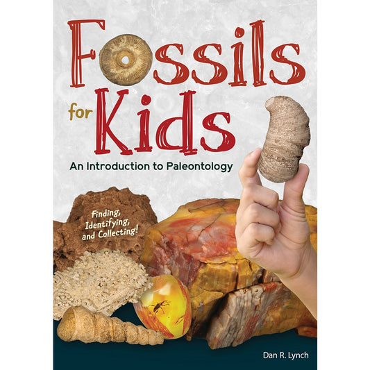 Fossils for Kids