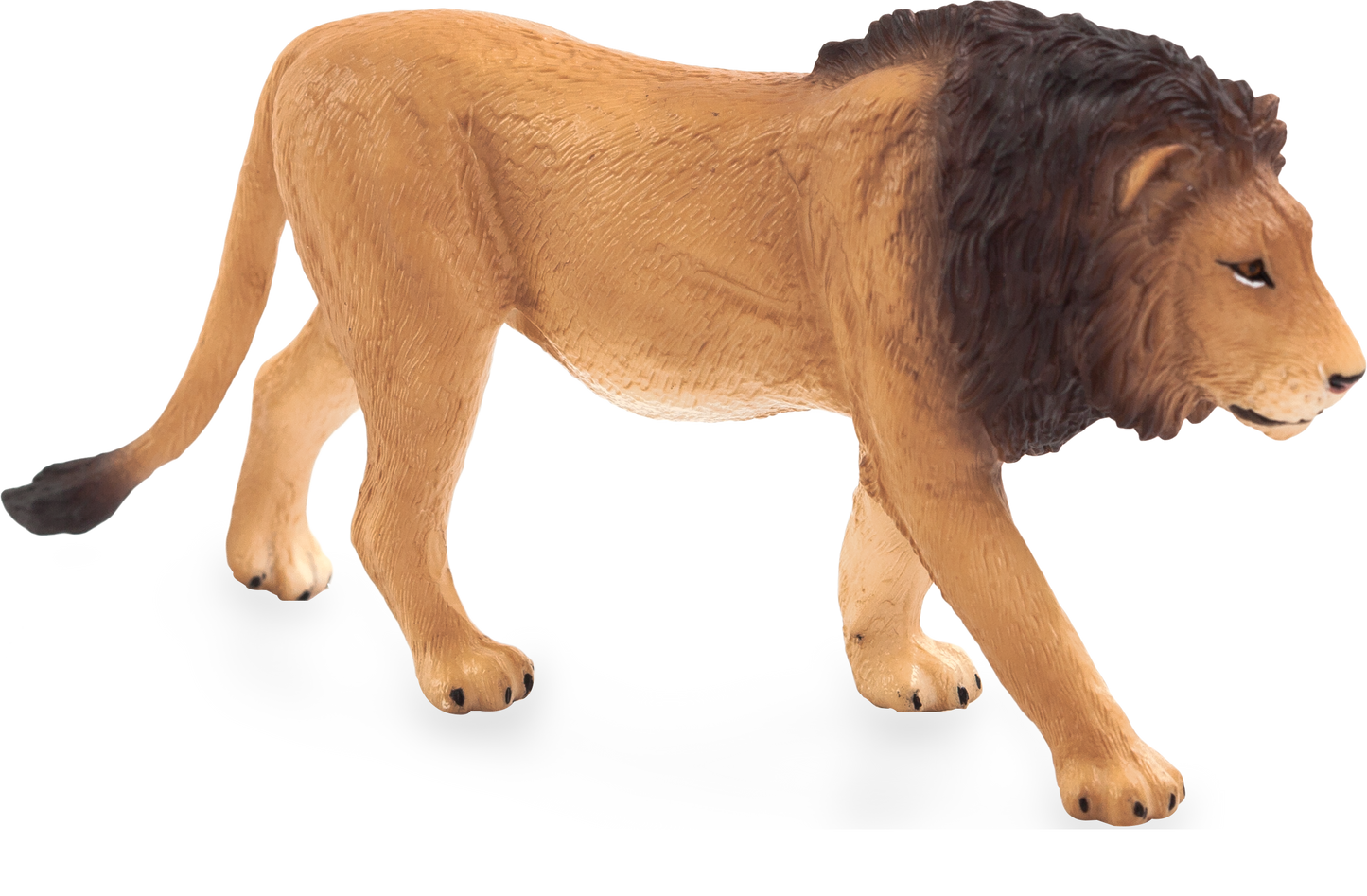 MOJO Male Lion