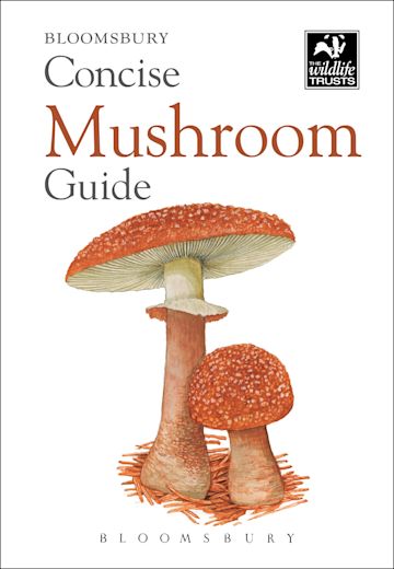 Concise Mushroom Guide