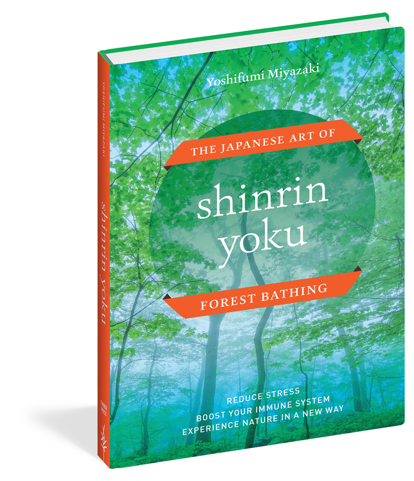 Shinrin Yoku The Japanese Art of Forest Bathing