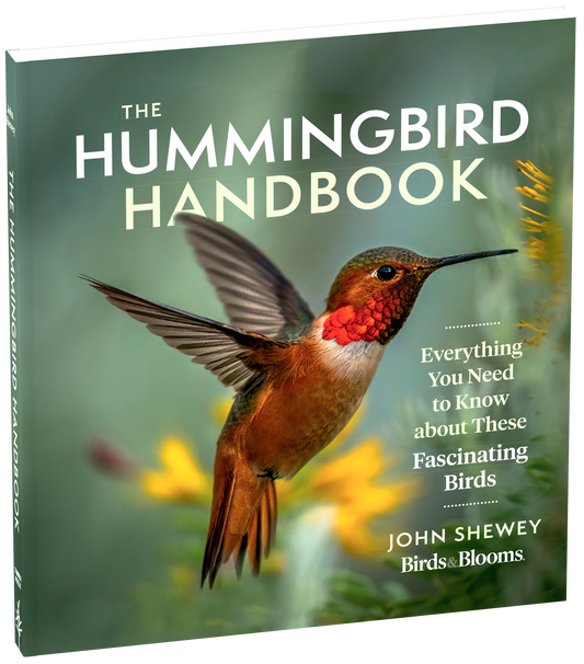 The Hummingbird Handbook Everything You Need to Know about These Fascinating Birds