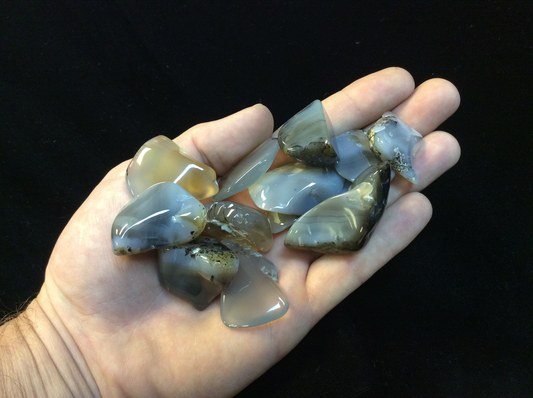 Montana Moss Agate Tumbled