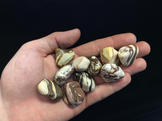 Zebra Jasper Brown Tumbled