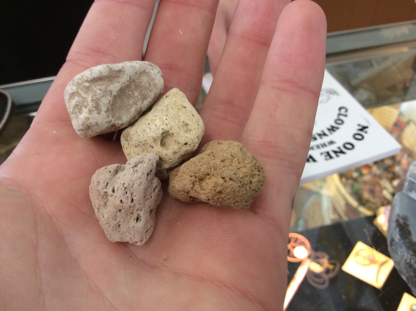 Pumice rocks