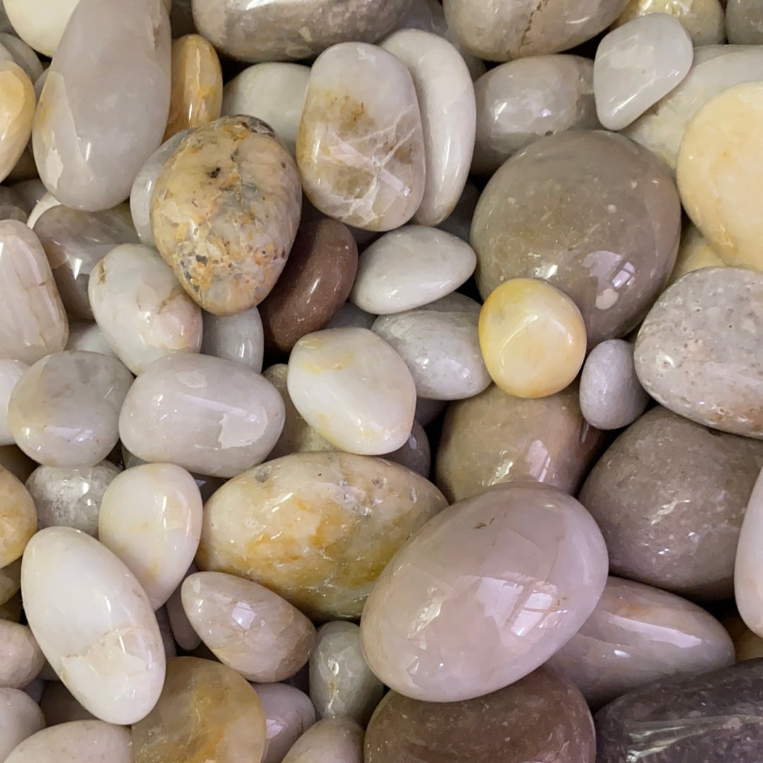 Cape Cod Beach Pebbles Tumbled