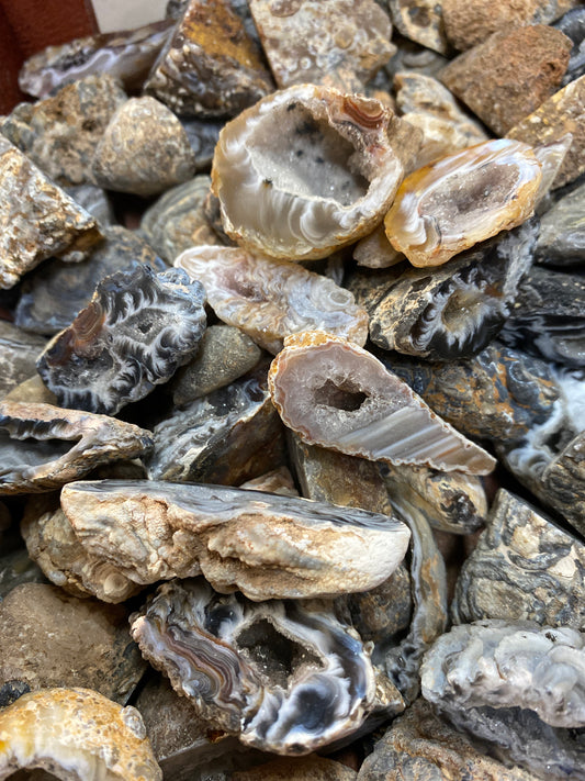 Occo Geodes