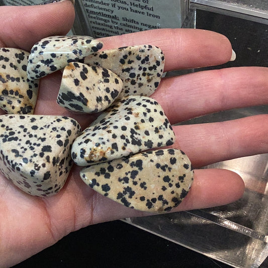 Dalmatian Jasper Tumbled