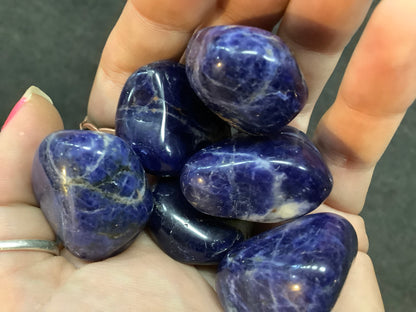 Sodalite Tumbled