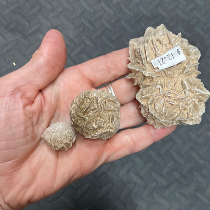 Desert Rose Gypsum Rose