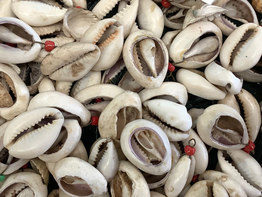 Cowrie shell beads