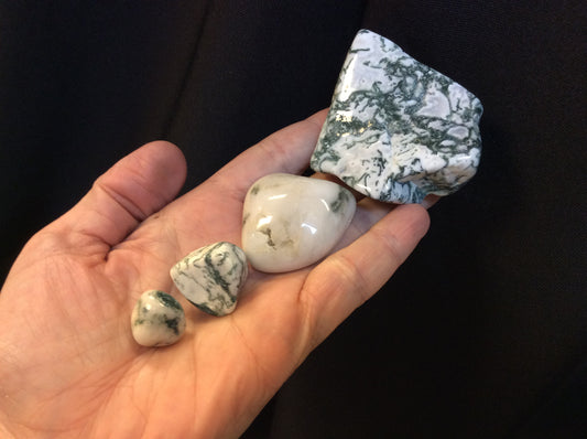 Green Tree Dendritic Agate Tumbled Small