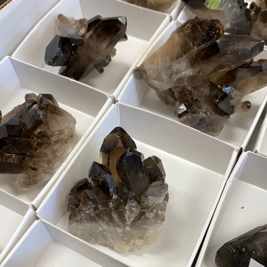 Smokey Quartz Clusters