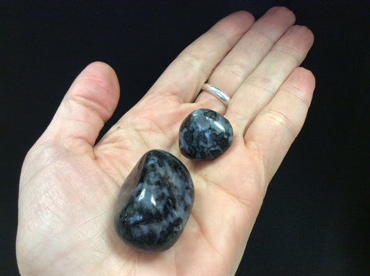 Indigo Gabbro Tumbled