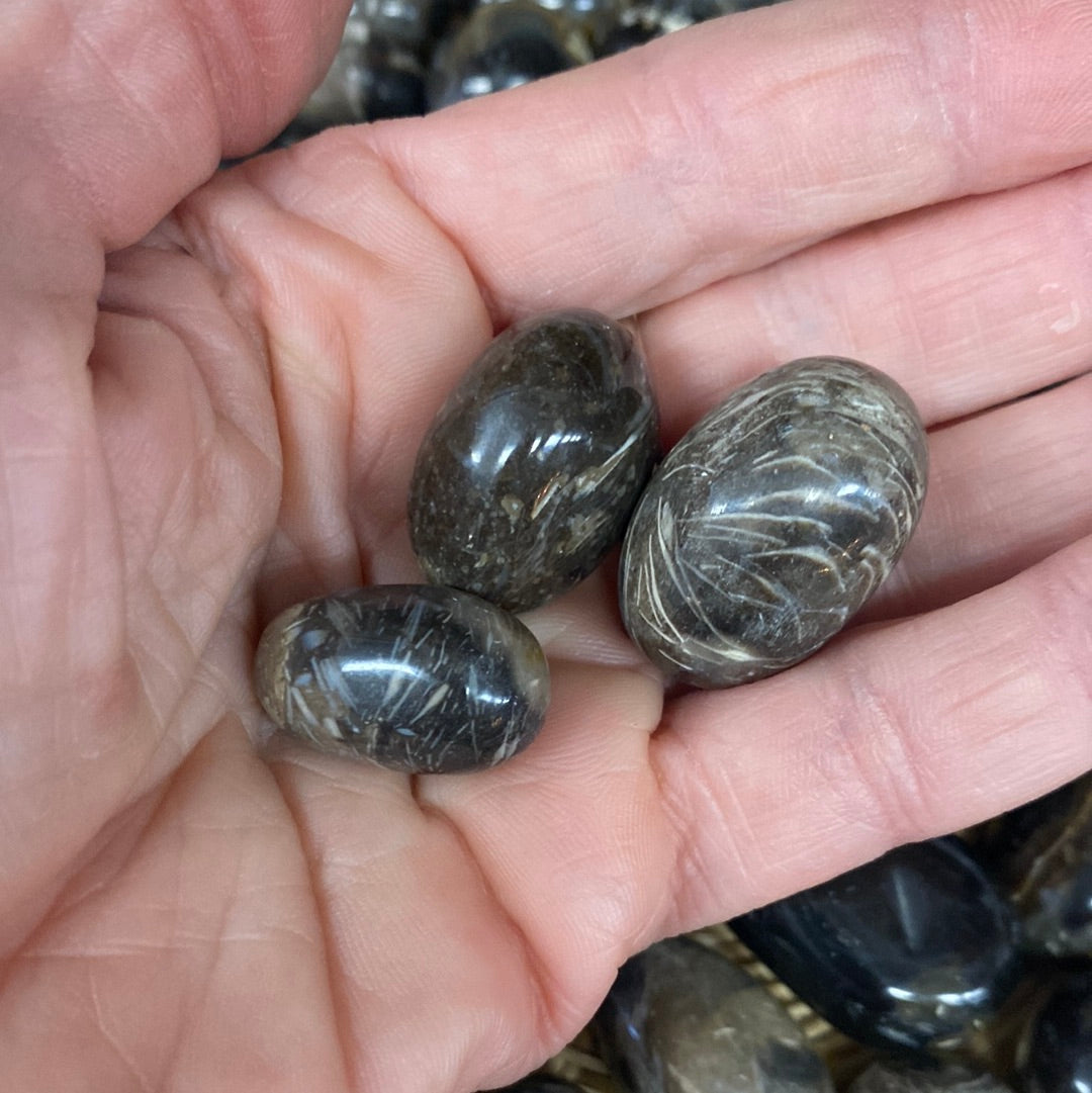 Feathered Agate Tumbled Stone