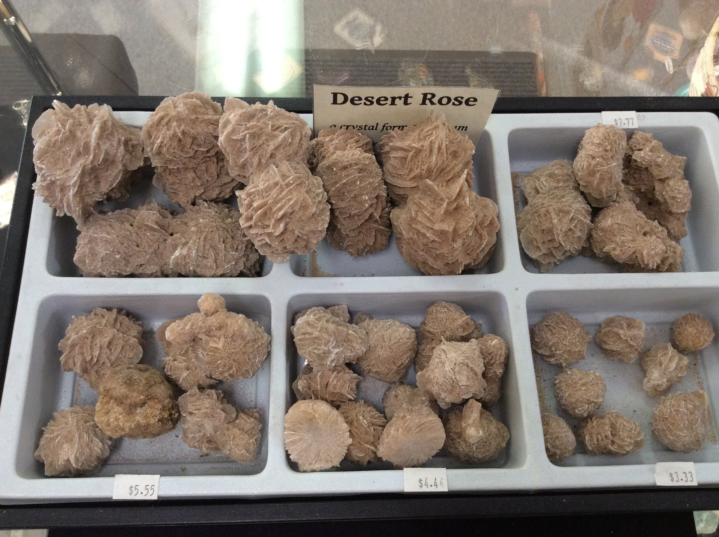 Desert Rose Gypsum Rose